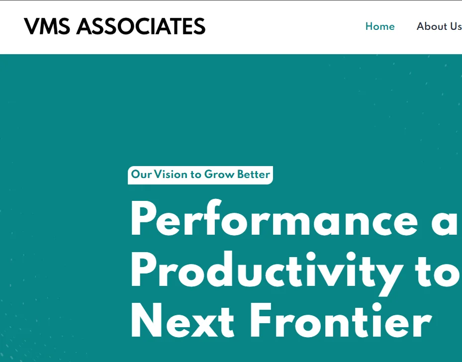 VMS Associates